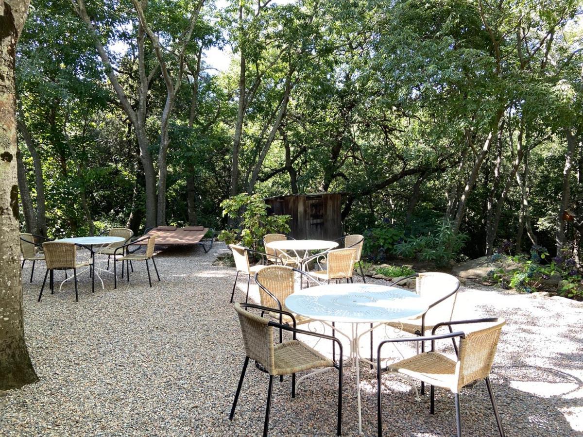 Mas Del Ca Adult Only Acomodação com café da manhã Sorède Exterior foto